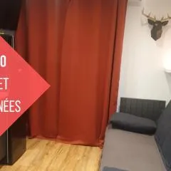 Le 211,ski et randonnée, lave linge , parking gratuit