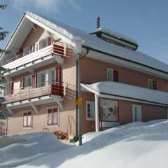 Chalet Bergli