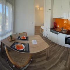 HSH Solothurn - Junior Suite LEHN Apartment in Oensingen by HSH Hotel Serviced Home