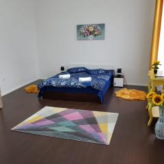 Apartament 12 Central