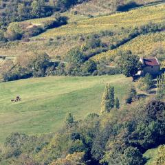 Les Billardes - le gite - Jura