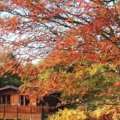 Glas Doire Lodge, Glen Roy Nature Reserve