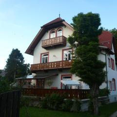Apartments Alte Villa