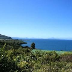 Nestled Atop the Lane - Pukawa Bay Holiday Home