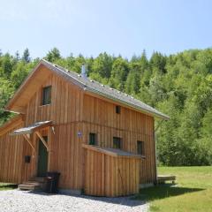 Chalet in Stadl an der Mur Styria with terrace