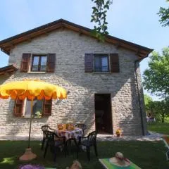 Pet-Friendly Retreat