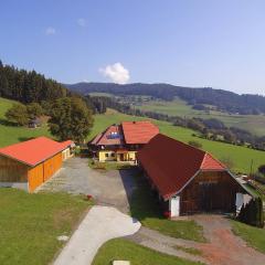 Ferienwohnung Dürnberger