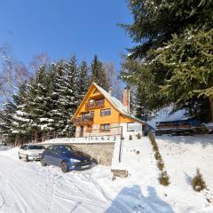 Luxury Chalet near Ski area in Benecko