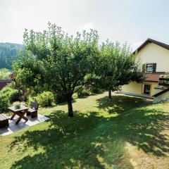 Apartment near the forest in Plankenstein