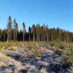 La Maison des Senteurs