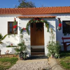 The Cottage near the lake