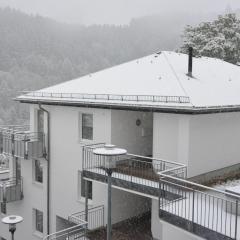 Geräumiges Apartment mit Balkon in Willingen