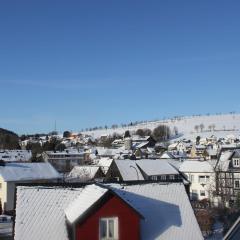 Wohnung im 1 Stock bei Willingen