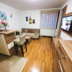 Apartment U 154 - Aparthotel Vučko