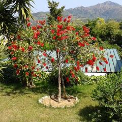 Apartment in villa 2 to 3 persons with large private garden