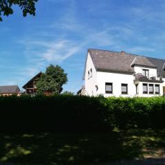 Tasteful Apartment in Trittenheim with Terrace and Garden