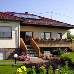 Cosy apartment in Neustra burg