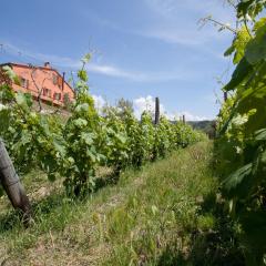 Agriturismo La Burlanda