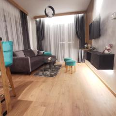 Apartmani Zimski Ples Jahorina