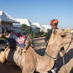 Pushkar Adventure Camp And Camel Safari