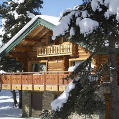 Chalet les SORBIERS, en rondins, classé 4****étoiles