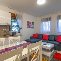 Apartman Gavrilov 3