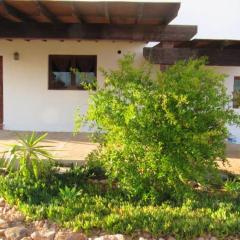 One bedroom house with garden at Triquivijate