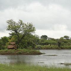 Morekuri Safaris