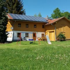 Lovely Holiday Home in Viechtach near the Forest