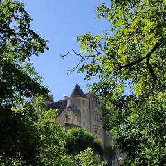 Petite maison en pierre au coeur du Périgord noir proche de Sarlat et Rocamadour