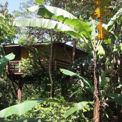 TREEHOUSE PILON PAVONES