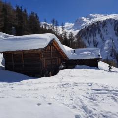 Chalet Biene - Swiss Alp Chalet with Sauna and Jacuzzi