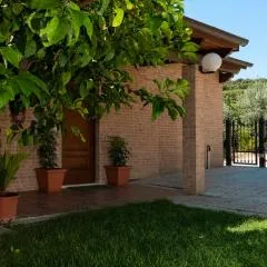 La casa de Rocche