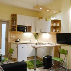 Apartmán 466