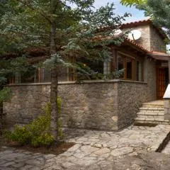 Villa Parnassos