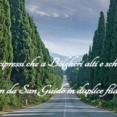 Casa Vacanza Francesca #10