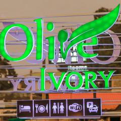 Olive Ivory