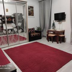 Двокімнатна квартира в старому Львові