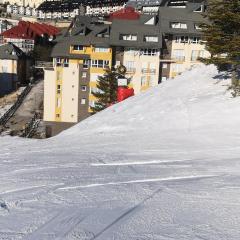 Miramar Ski apartamento a pie de pistas zona baja