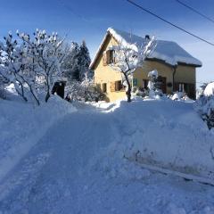 Maison independante de montagne en ALSACE