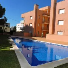 Doree 419