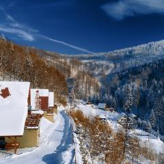Domki Beskid