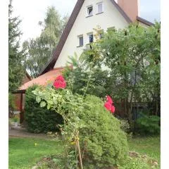 Apartament Leśny
