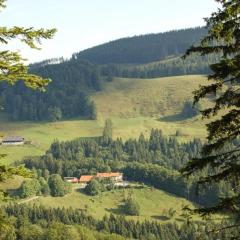 Berggasthaus Steinberg-Alm inkl. Chiemgaukarte