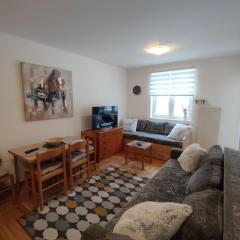 Apartman Paja