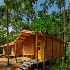 Agumbe Rainforest Stay
