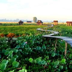 Việt Mekong Farmstay