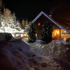 Wooden house in the heart of the Giant Mountains with own hill