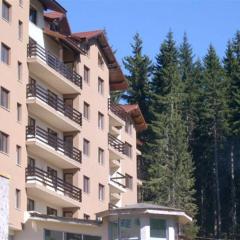 Stunning Mtn View 1-Bed Ski Apt in Pamporovo