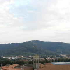Alzano Panorama